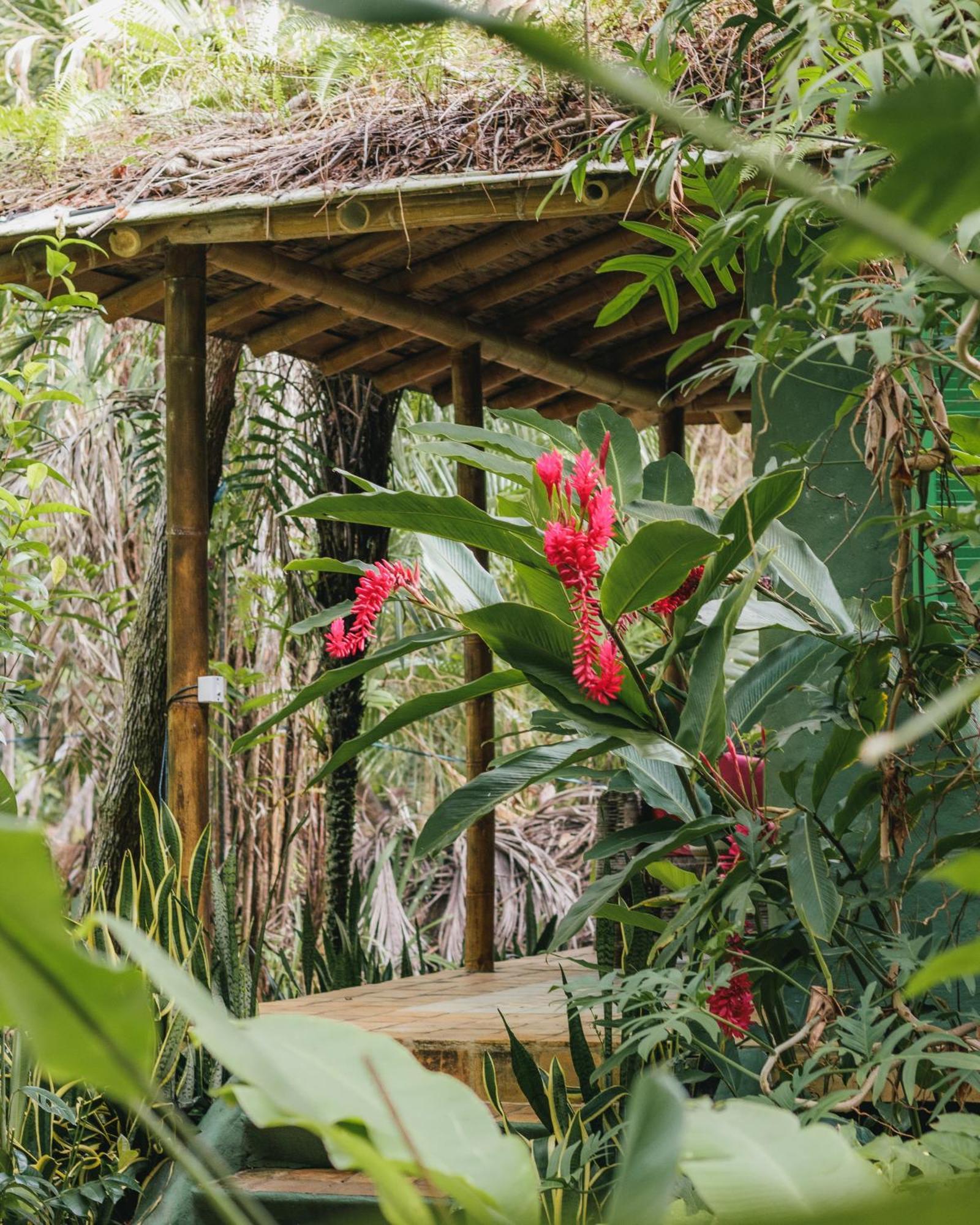 Hotel Butterfly House Bahia Maraú Zewnętrze zdjęcie
